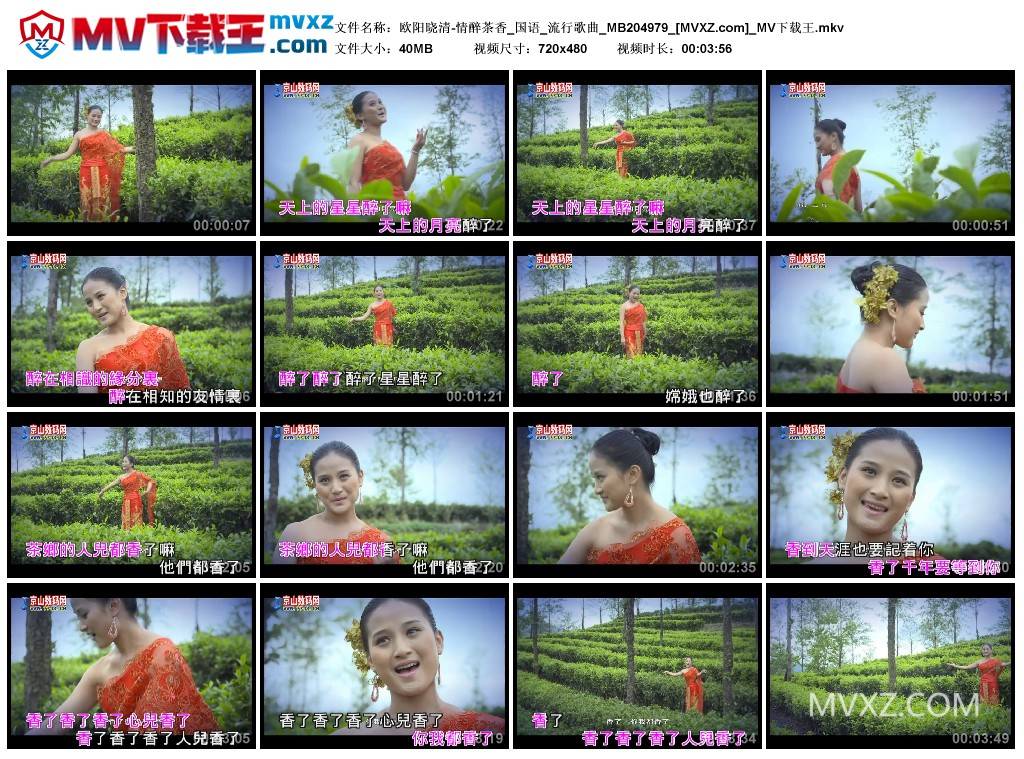 欧阳晓清-情醉茶香_国语_流行歌曲_MB204979